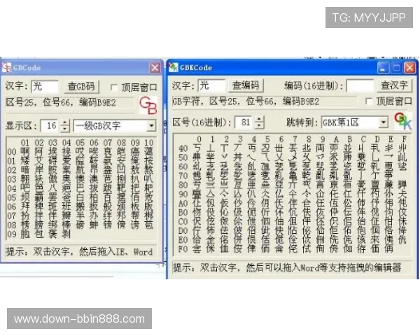 bbin账号后面字母代表什么含义以及如何正确识别和使用
