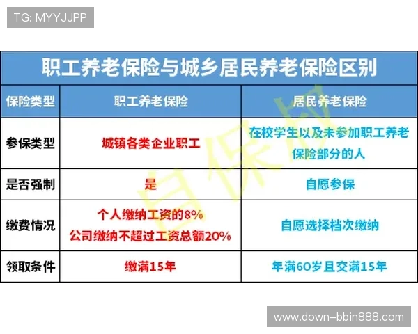 bbin体育结算太慢影响玩家体验的原因分析与解决方案详解
